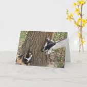 Freunde Karte (Gelbe Blume)