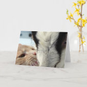 Freunde Karte (Gelbe Blume)