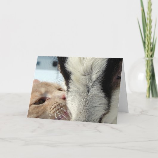 Freunde Karte (Vorderseite)