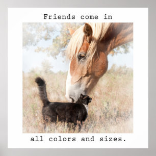 Freunde kommen in allen Farben und Größen Poster