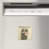 Freunde Lass keine Freunde, Alberne Dinge alleine Magnet (In Situ (Geschirrspüler))