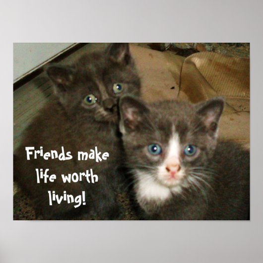 FREUNDE MACHEN LEBEN LEBENSWERT POSTER (Vorne)