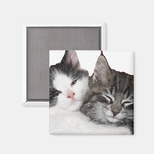 Freunde Magnet (Vorderseite/Rückseite)