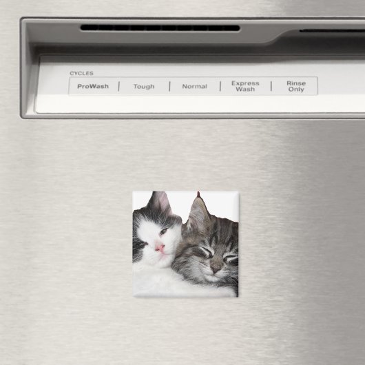 Freunde Magnet (In Situ (Geschirrspüler))