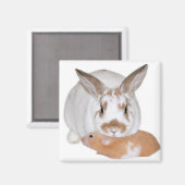 Freunde Magnet (Vorderseite/Rückseite)