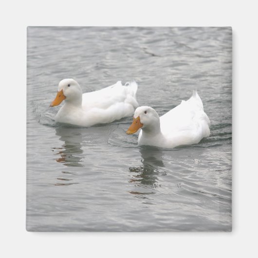 Freunde Magnet (Vorne)