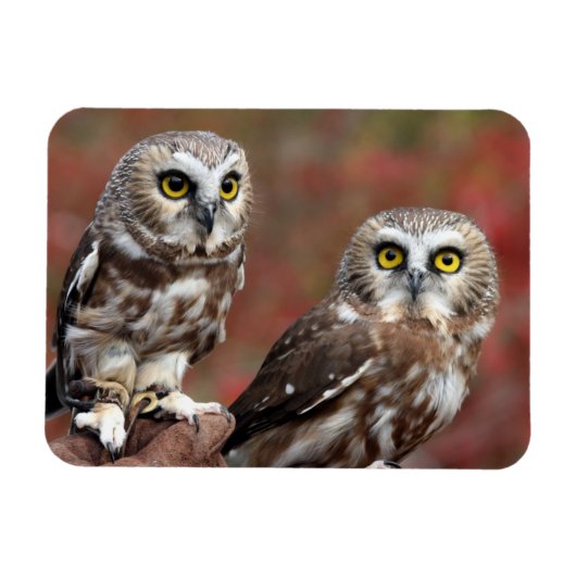 Freunde Magnet (Horizontal)