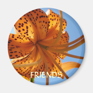 Freunde Magnet Freundschaft Orange Tiger Lilie Blu