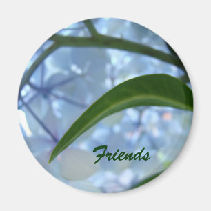 Freunde Magnet Geschenke Blaue Hortensien Blumen