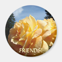 FREUNDE! MAGNET Orange ROSEN GARTEN GESCHENKE