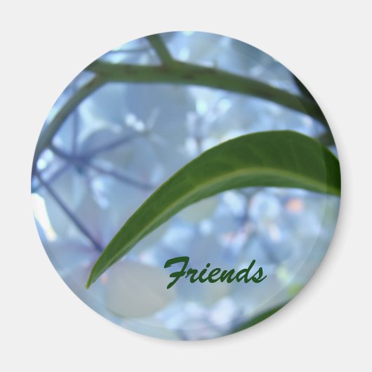 Freunde Magnetgeschenke Blue Hydrangea Blume Magnet (Vorne)