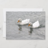 Freunde Mitteilungskarte (Vorderseite)