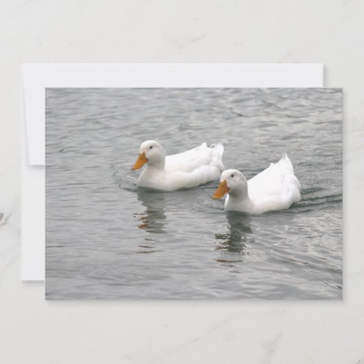 Freunde Mitteilungskarte (Vorderseite)