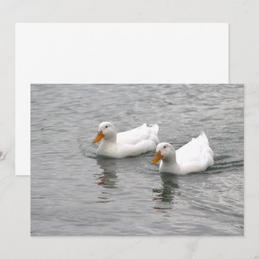 Freunde Mitteilungskarte (Vorne/Hinten)