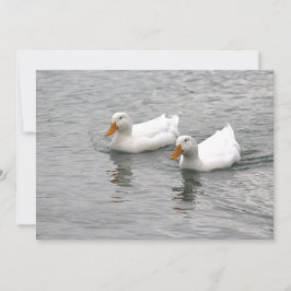 Freunde Mitteilungskarte