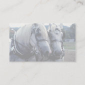 Freunde, Pferdeteam Visitenkarte (Rückseite)
