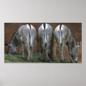 Freunde Poster (Vorne)