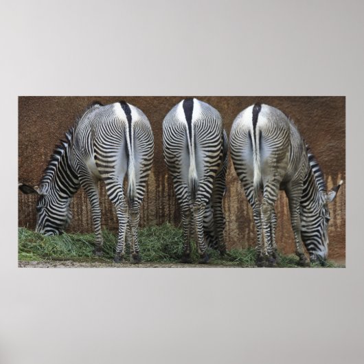 Freunde Poster (Vorne)