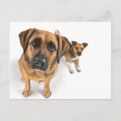 Freunde Postkarte (Vorderseite)