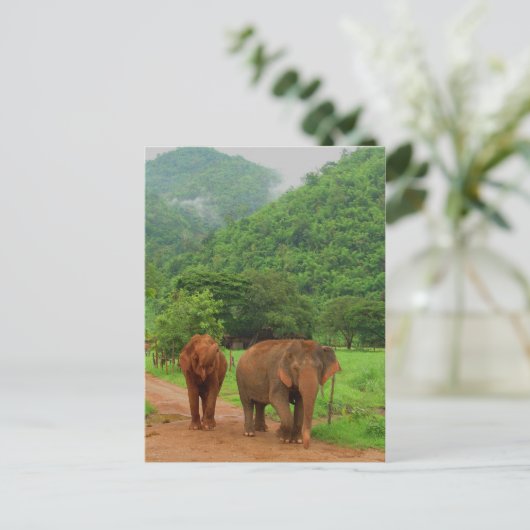 Freunde Postkarte (Stehend Vorderseite)