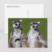 Freunde Postkarte (Vorne/Hinten)