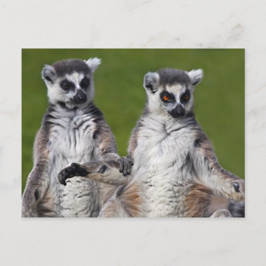 Freunde Postkarte (Vorderseite)