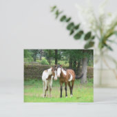 Freunde Postkarte (Stehend Vorderseite)