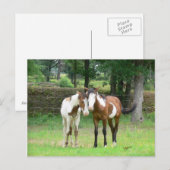 Freunde Postkarte (Vorne/Hinten)