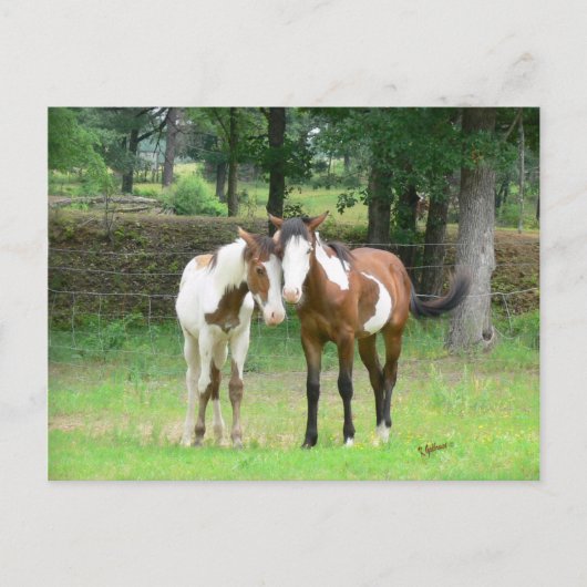 Freunde Postkarte (Vorderseite)