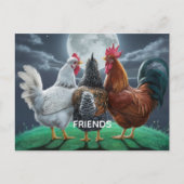 FREUNDE  POSTKARTE (Vorderseite)