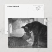 Freunde Postkarte (Vorne/Hinten)