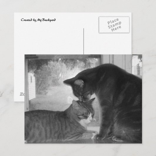 Freunde Postkarte (Vorne/Hinten)