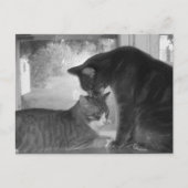 Freunde Postkarte (Vorderseite)