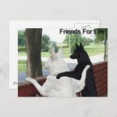 Freunde Postkarte (Vorne/Hinten)