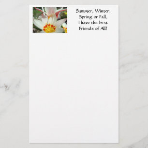 FREUNDE! SCHREIBWARE Tulpen Blumen Notiz Schreibwa Briefpapier
