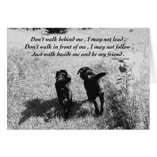 Freunde - Schwarzes Labor (Vorderseite (Horizontal))