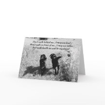 Freunde - Schwarzes Labor