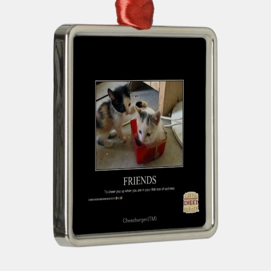 Freunde Silbernes Ornament (Rechts)