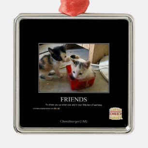 Freunde Silbernes Ornament