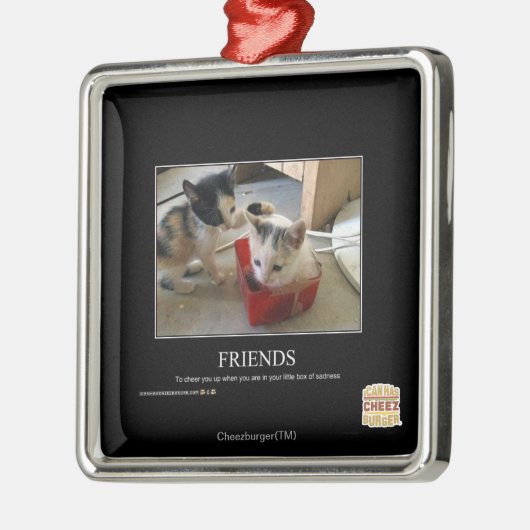 Freunde Silbernes Ornament (Links)