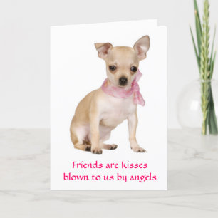 Freunde sind Angels Chihuahua Puppy Dog Card Karte