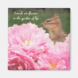Freunde sind Blumen-Zitatchipmunk-Magnet Magnet