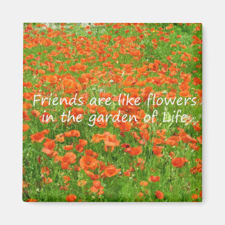Freunde sind wie Blume Magnet