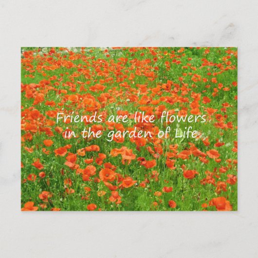 Freunde sind wie Blume Postkarte (Vorderseite)