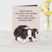 Freunde sind wie Hundekarte Karte (Gelbe Blume)