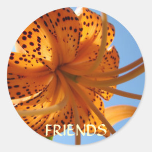 FREUNDE STICKER Orange Lilien Blumen Aufkleber