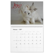 Freunde von Katzen und Hunden Kalender (Feb 2027)