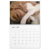 Freunde von Katzen und Hunden Kalender (Mär 2027)