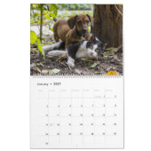 Freunde von Katzen und Hunden Kalender (Jan 2027)