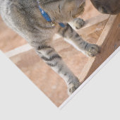 Freunde von Katzen und Pferden Seidenpapier (Ausschnitt)